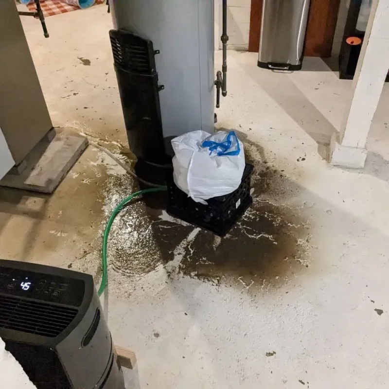 Sewage Backup Cleanup Service in Perryopolis, PA
